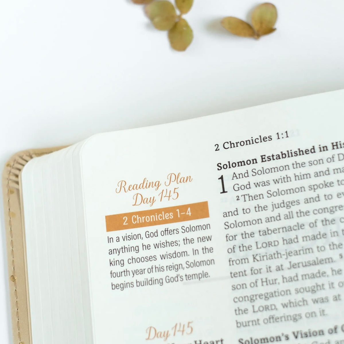 Mustard Seed Faith Devotional Bible