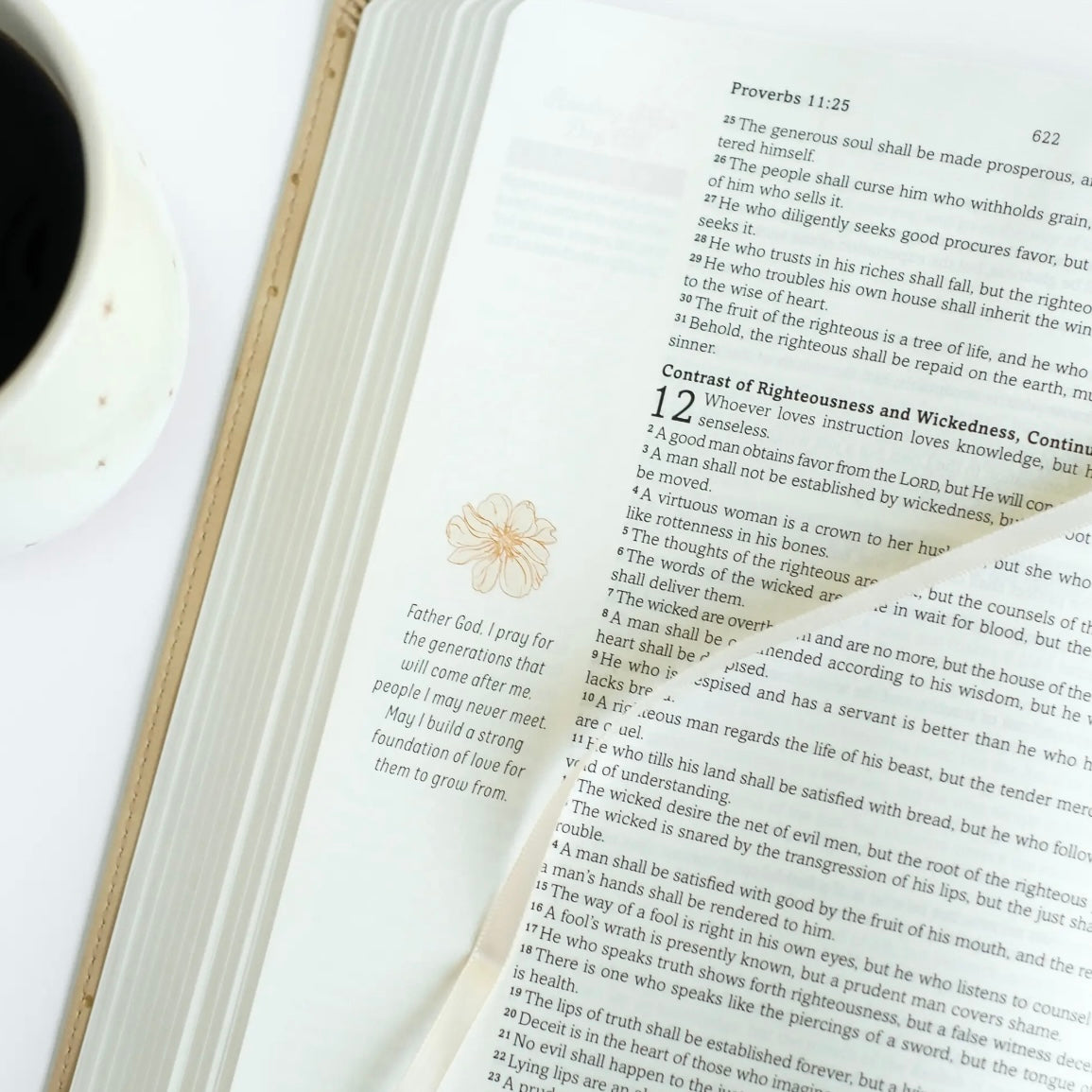 Mustard Seed Faith Devotional Bible