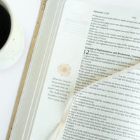 Mustard Seed Faith Devotional Bible